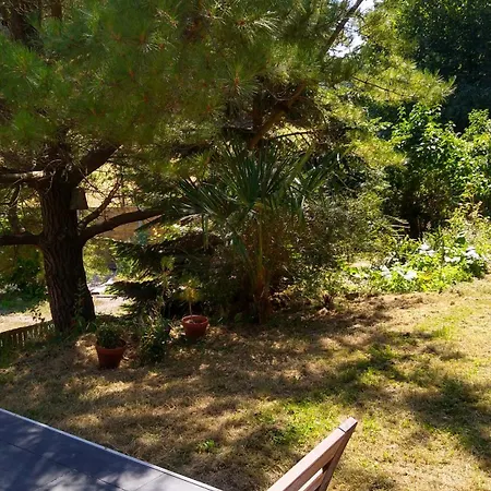 Entre Nature Et Douceur D'ete En Normandie *